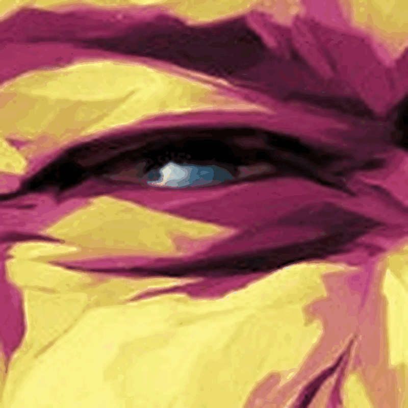 prof_pic_anim.gif
